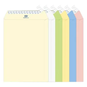 FIS Executive Laid Paper Envelopes Peel & Seal, Pack of 25 Pcs. Assorted Colors, 10 x 7 inch Size, 100 GSM – FSEE1033PB625