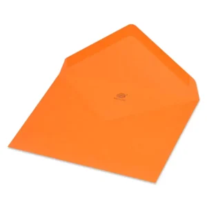 FIS Pack of 50 FIS Neon Color Envelopes, 80 GSM, Size 120 X 185mm, Glued, Color Orange