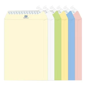 FIS Executive Laid Paper Envelopes Peel & Seal, Pack of 25 Pcs. 6 Assorted Colors, C4 (324 x 229 mm) Size, 100 GSM – FSEE1027PB625