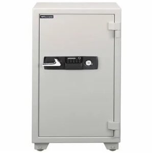 Eagle Safe ES-100 Fire Resistant Key and Electronic Lock 205 KG