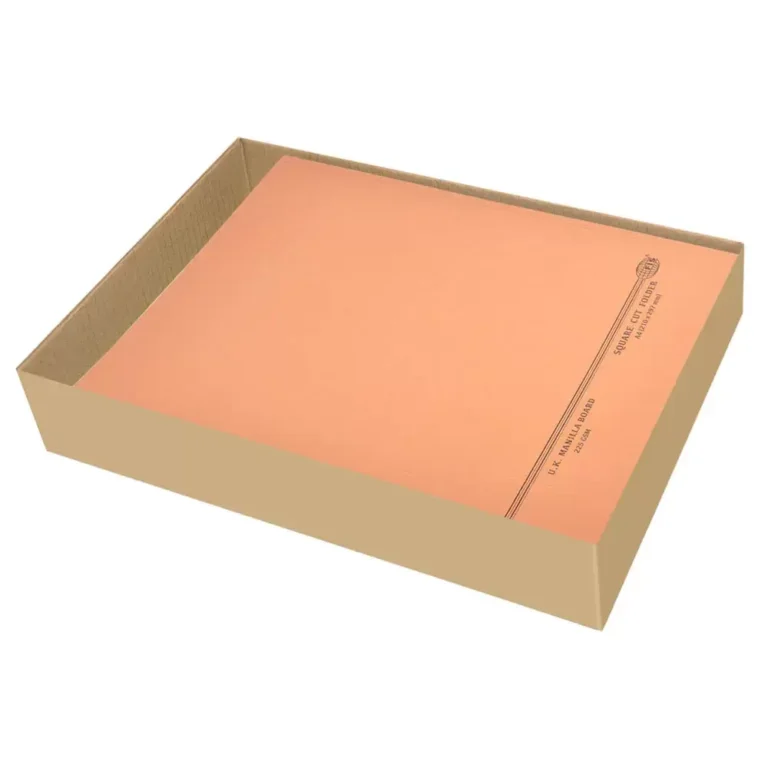 FIS FSFF9A4KOR Square Cut Folders Without Fastener Kendal Manila, A4, Orange, 225 gsm, 100 pieces