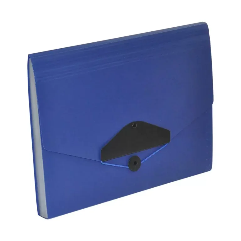 FIS FSPG1304BL Expanding Files with Tie, 210 × 145 mm, 13 Pockets, Blue