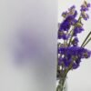 71rNJndNRPL._AC_SL1200_