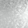 81MwTvtQTlL._AC_SL1481_