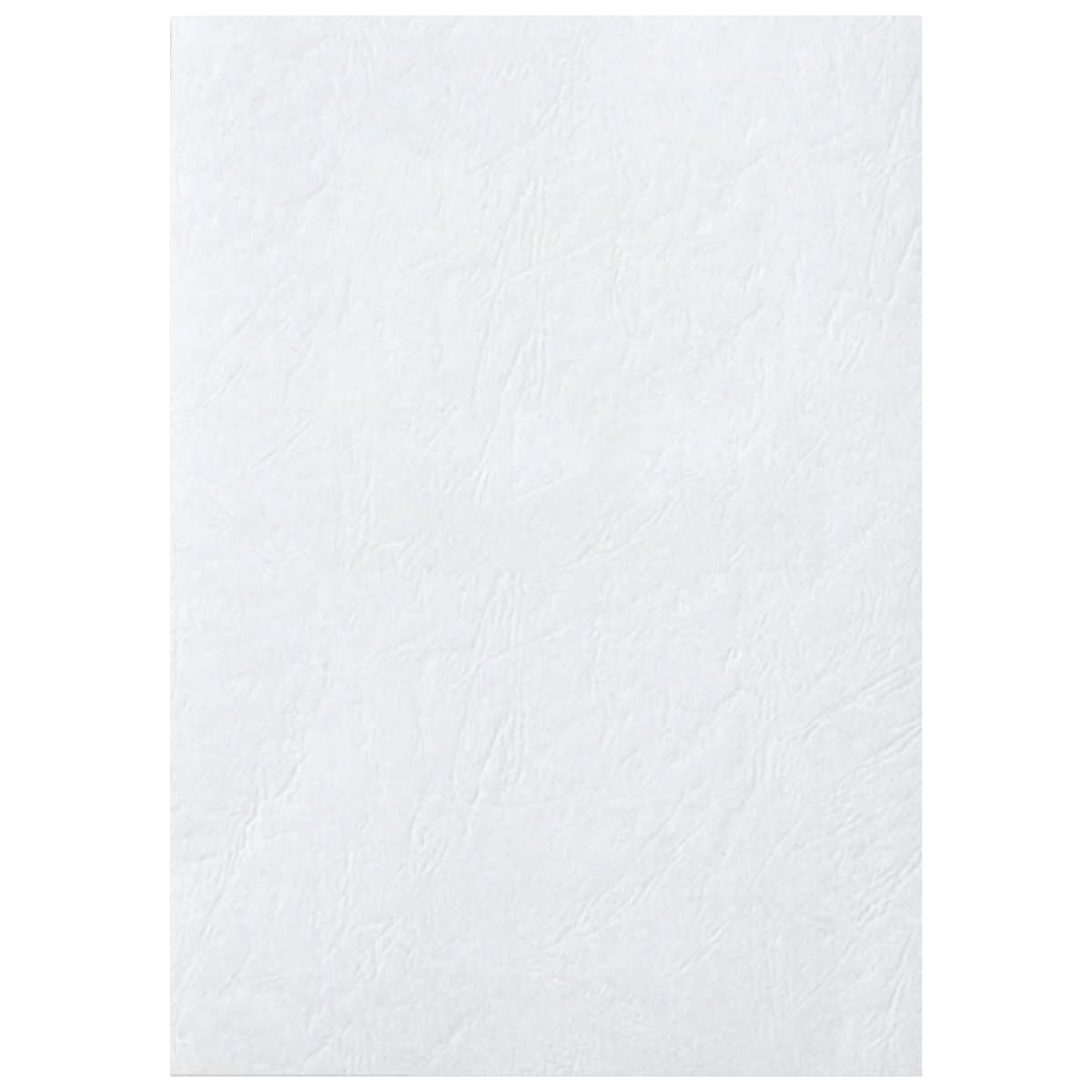 0339-Deluxe-Binding-Cover-White.jpg