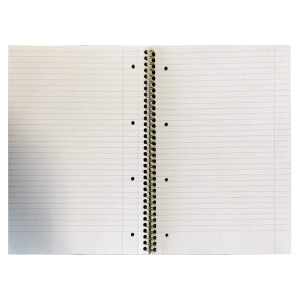 11495_PukkaPadJottaWireboundA4_lineruled_80gsm_200sheets_pad_AssortedColors_3.jpg
