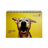 K9 Friends 2026, Desk Calendar, 21 x 15 cm - Thumbnail Image 1