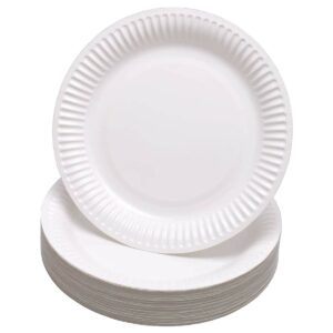Generic Paper Plates 9″, 100/pack