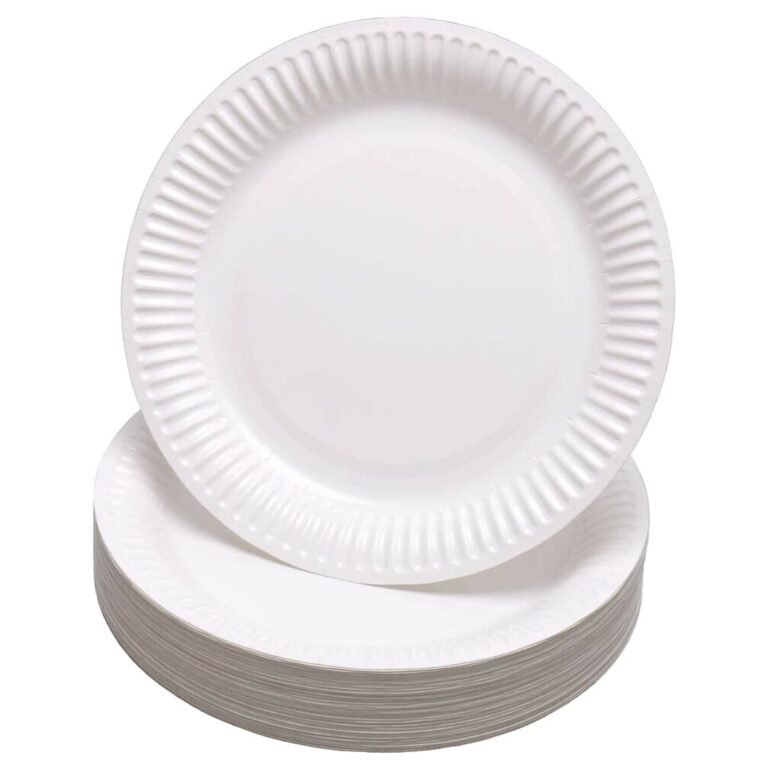 Generic Paper Plates 9″, 100/pack
