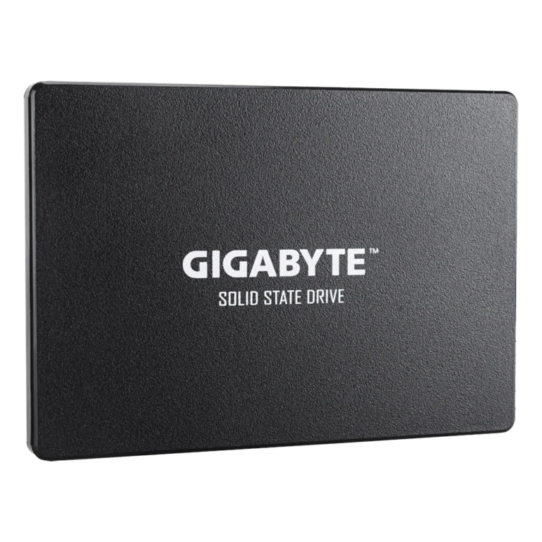 GIGABYTE GP-GSTFS31100TNTD SSD