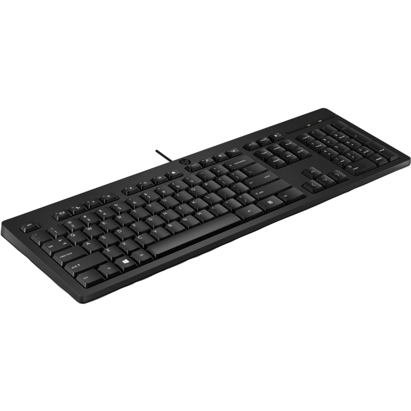 HP-125-Wired-Keyboard-266C9AA-3.png