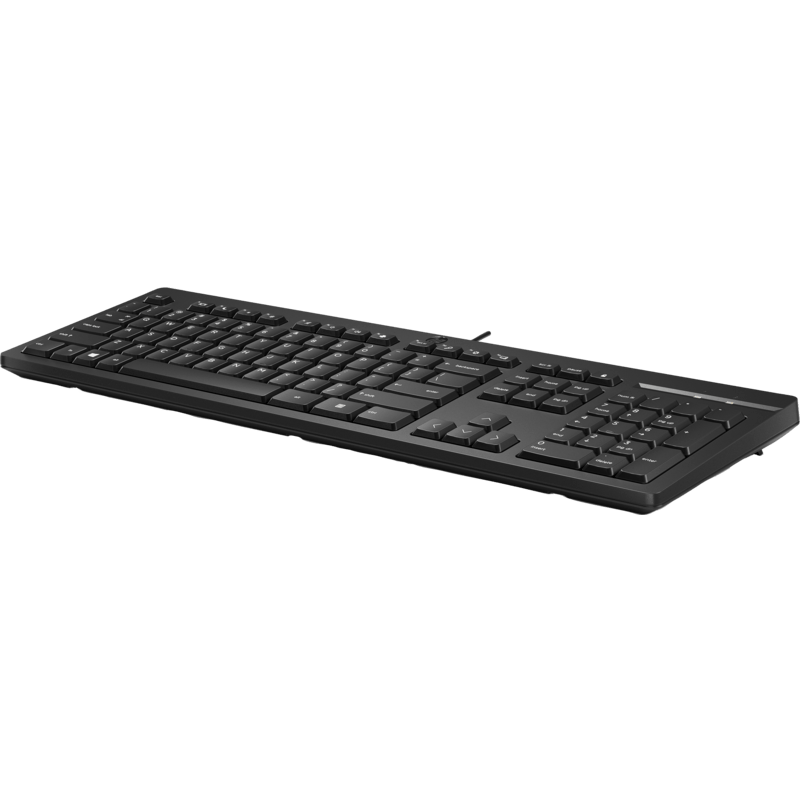 HP-125-Wired-Keyboard-266C9AA-4.png
