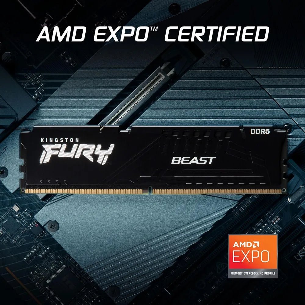 Kingston-Fury-Beast-KF560C36BBE2K2-32-2_0b21906c-58f8-4435-9208-fc17b7ab0279.jpg