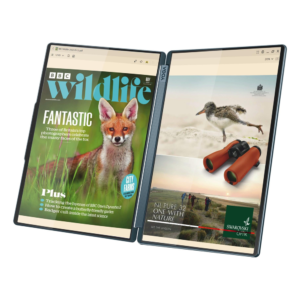 Lenovo Yoga Book 9 14IAH10 Laptop 83KJ000MAX