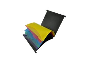 FIS PVC Hanging File with 5 Color indexed Folder, F/S, (210x330mm)