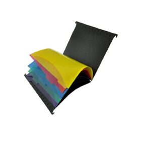 FIS PVC Hanging File with 5 Color indexed Folder, F/S, (210x330mm)