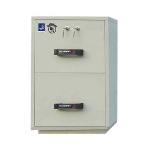 Techbird FRD-II-20 2 Drawer Fire Resistant Filing Cabinet