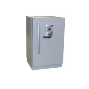 Fichet Bauche Diva S2 Data Cabinet
