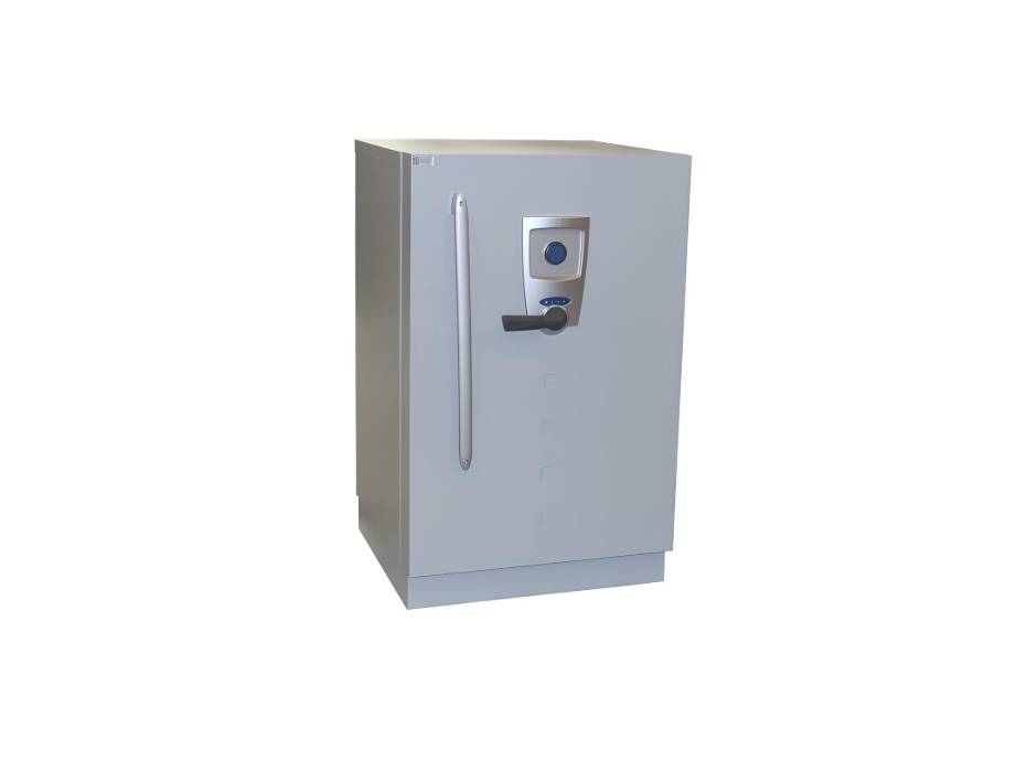 Fichet Bauche Diva model 100 data cabinet