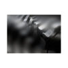 NewProject_23_0e3f9993-c922-48b1-8c60-8431561298e0.jpg
