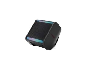 LG Stage 301 120W Portable Speaker