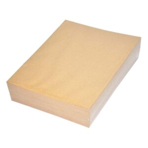 FIS Brown Envelope with Base Board 12 X 10” (50pcs/pack) – FSEV111MP