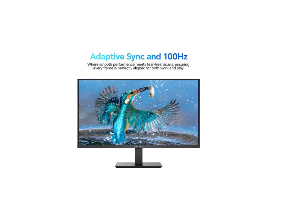 KOORUI E2412F Full HD monitor alternate view