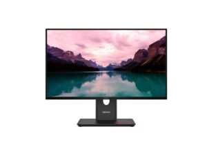 Lenovo ThinkVision T24-40 23.8-inch Monitor