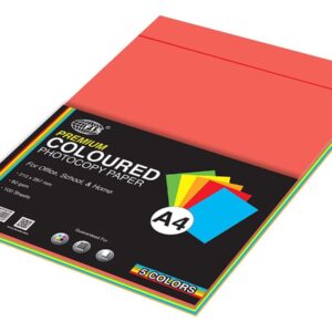 FIS Premium Color Photocopy Paper, 100 Sheets, 80 gsm, 5 Assorted Premium Colors, A4 Size
