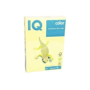 IQ Colored Copy Paper A4 80gsm 500Sheets/Ream