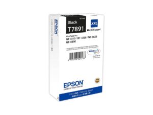 Epson T789 Ink Cartridge