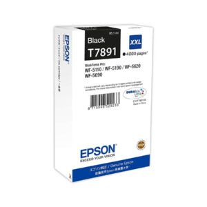 Epson T789 Ink Cartridge