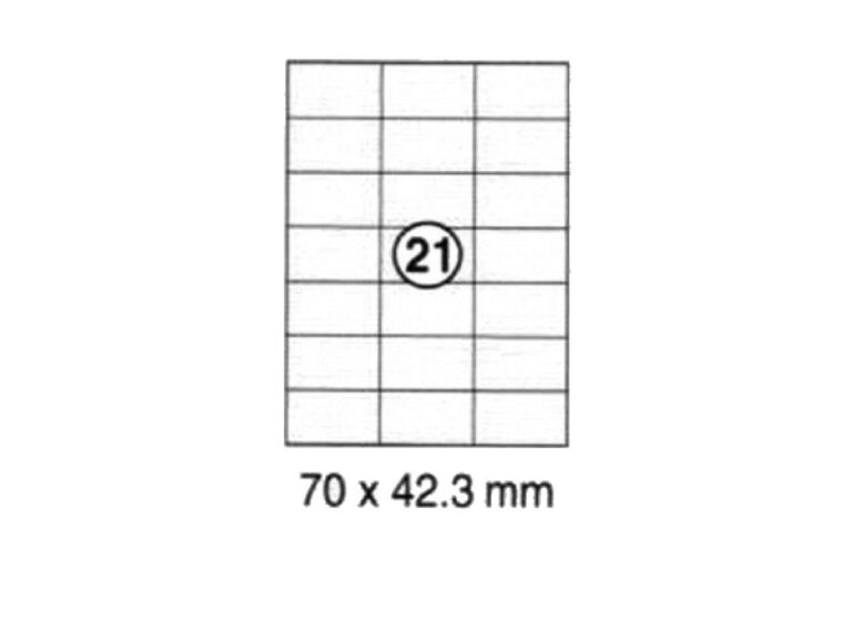 xel-lent 21 labels-sheet, straight corners, 70 x 42.3 mm, 100sheets-pack