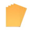 NewProject_70_2c70b49f-032d-4e88-a3d7-c61c9e1cbcf0.jpg FIS A3 embossed binding covers alternate product view 2