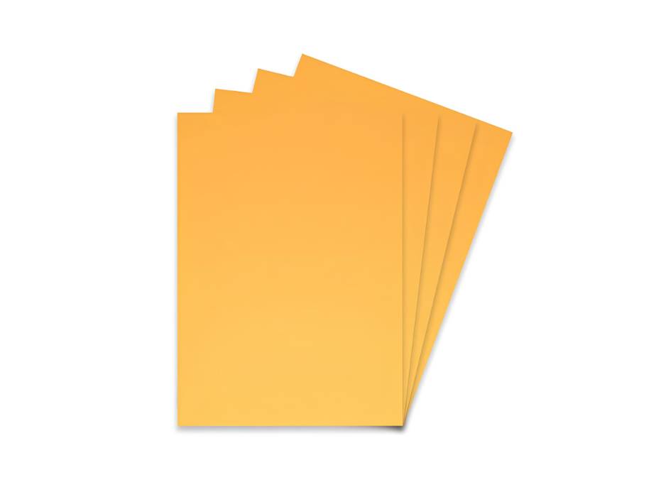 NewProject_70_2c70b49f-032d-4e88-a3d7-c61c9e1cbcf0.jpg FIS A3 embossed binding covers alternate product view 2