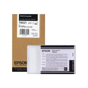 Epson C13T602100 Photo Black Ink Cartridge, 110 ml