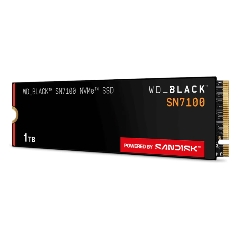 SanDisk WDS100T4X0E SSD