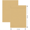 brown_envelope_310_x_410mm.png
