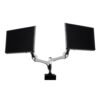 SilverStone Dual Monitor Desk Mount (SST-ARM22SC), product view 2